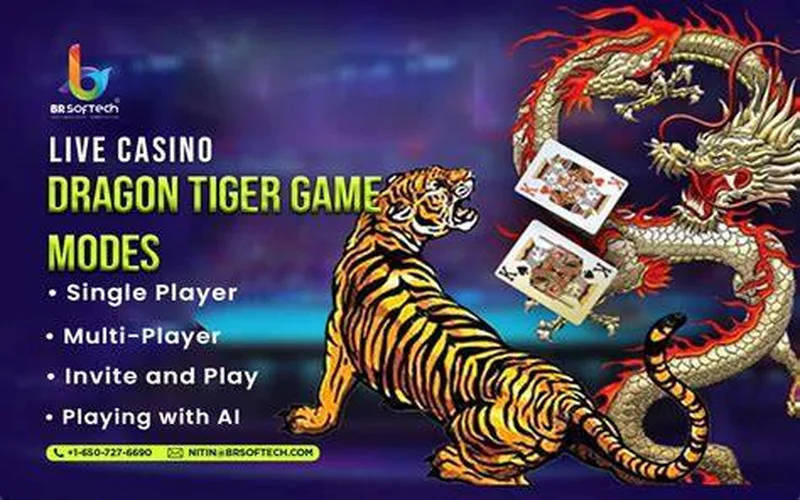 dragon tiger